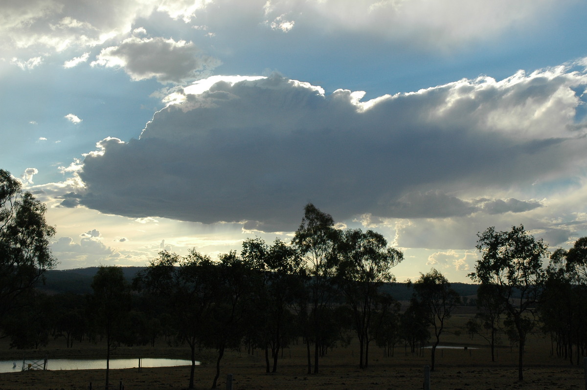 cumulus congestus : Grandchester, QLD   28 August 2004