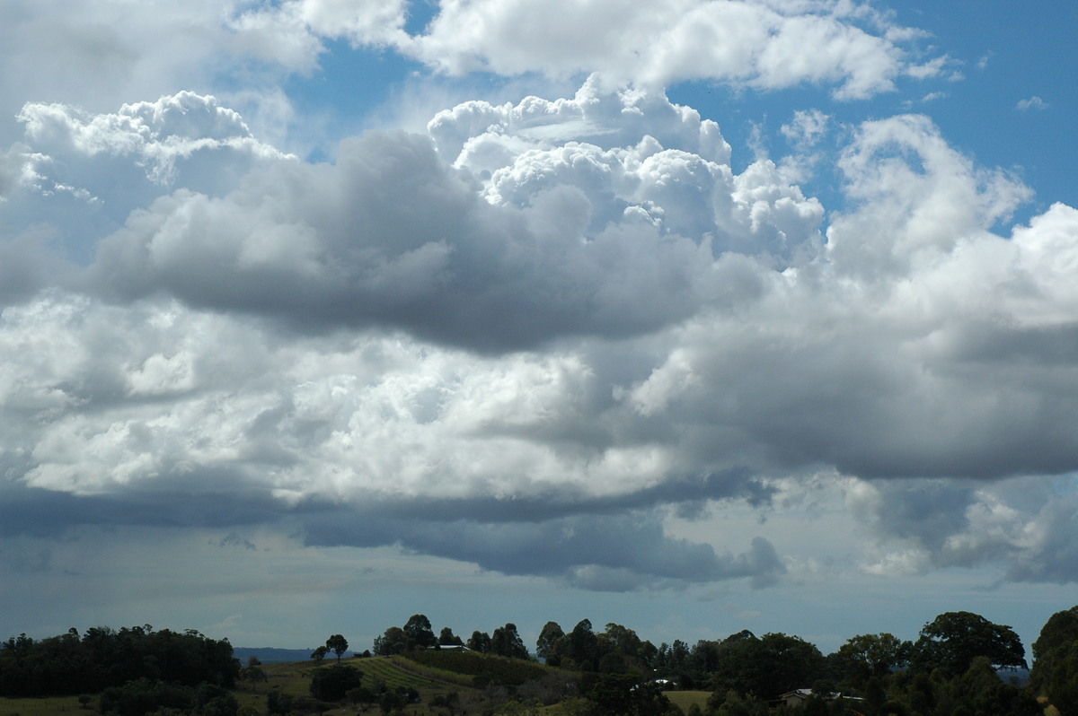 cumulus congestus : McLeans Ridges, NSW   4 September 2004