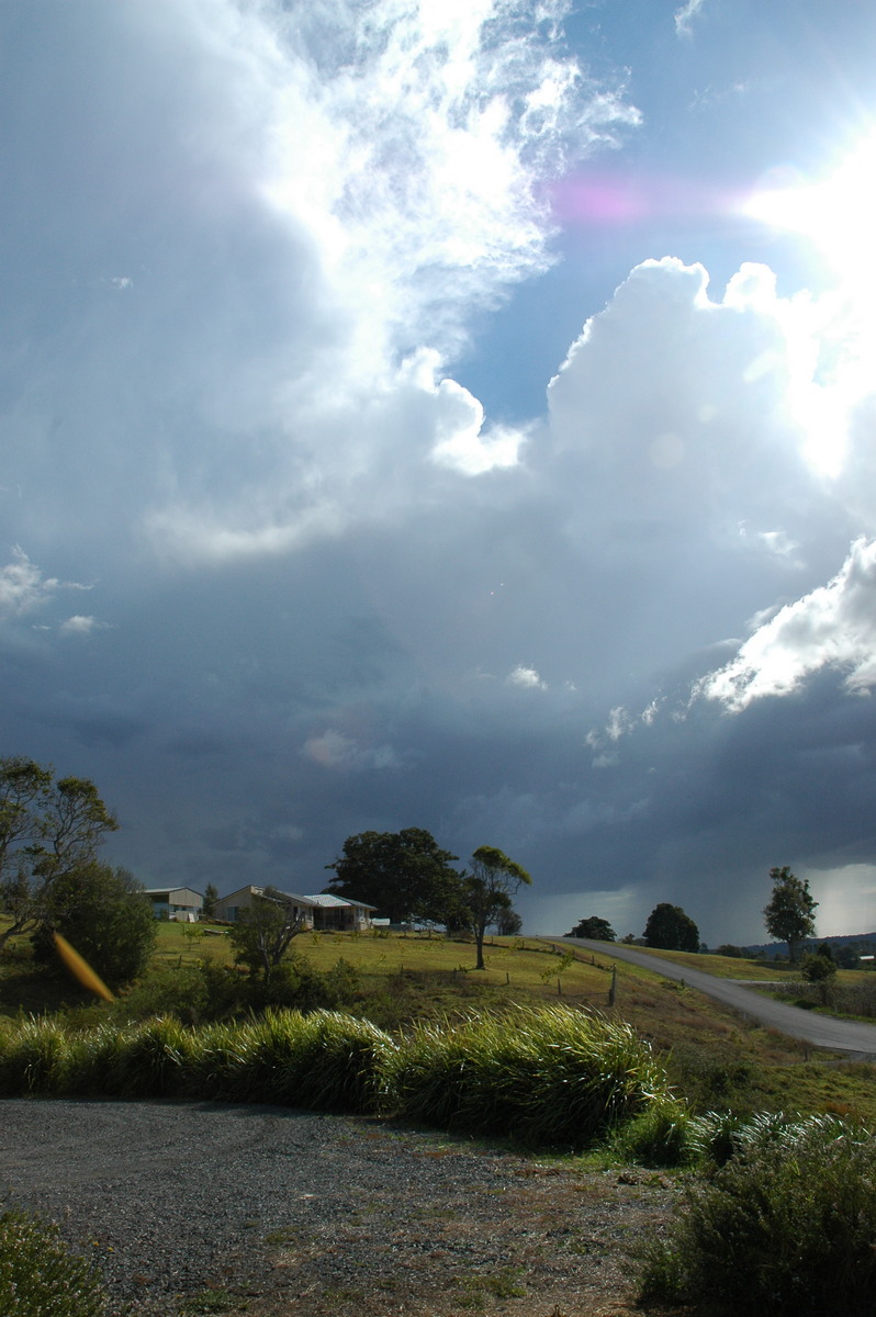 cumulus congestus : McLeans Ridges, NSW   4 September 2004