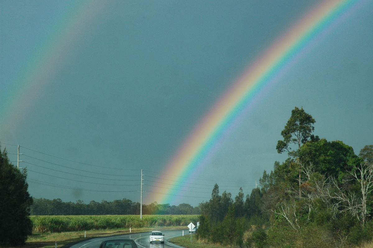 favourites michael_bath : Alstonville, NSW   4 September 2004