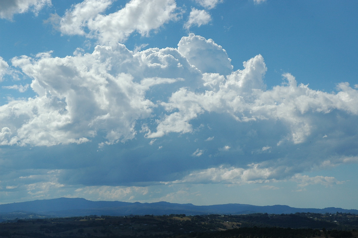 cumulus congestus : McLeans Ridges, NSW   5 September 2004