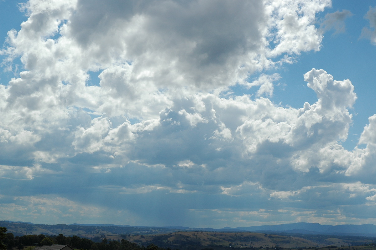 cumulus mediocris : McLeans Ridges, NSW   5 September 2004