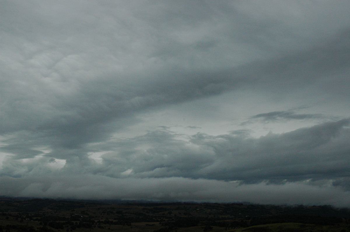 stratus stratus_cloud : McLeans Ridges, NSW   9 September 2004