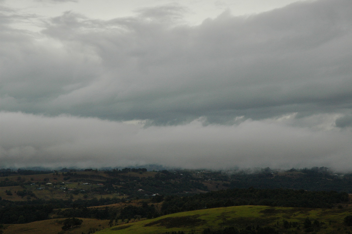 stratus stratus_cloud : McLeans Ridges, NSW   9 September 2004