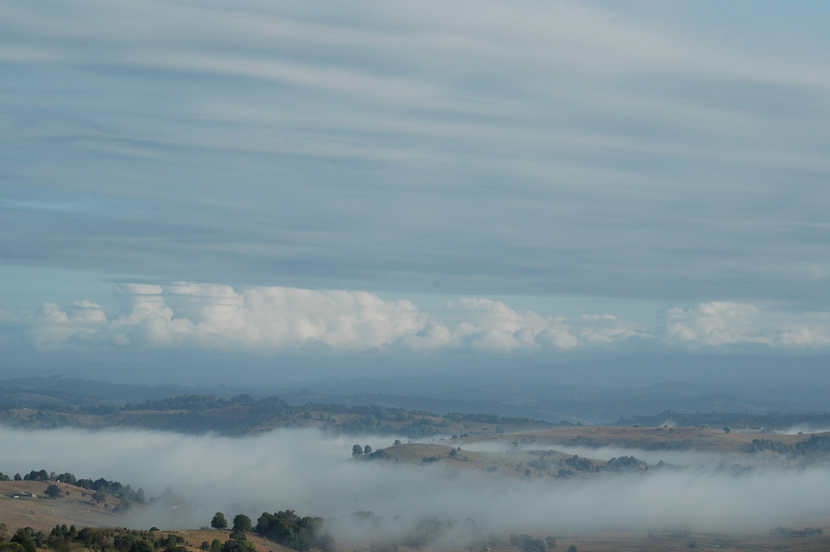 fogmist fog_mist_frost : McLeans Ridges, NSW   20 September 2004