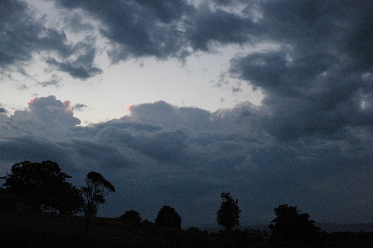 cumulus congestus : McLeans Ridges, NSW   1 October 2004