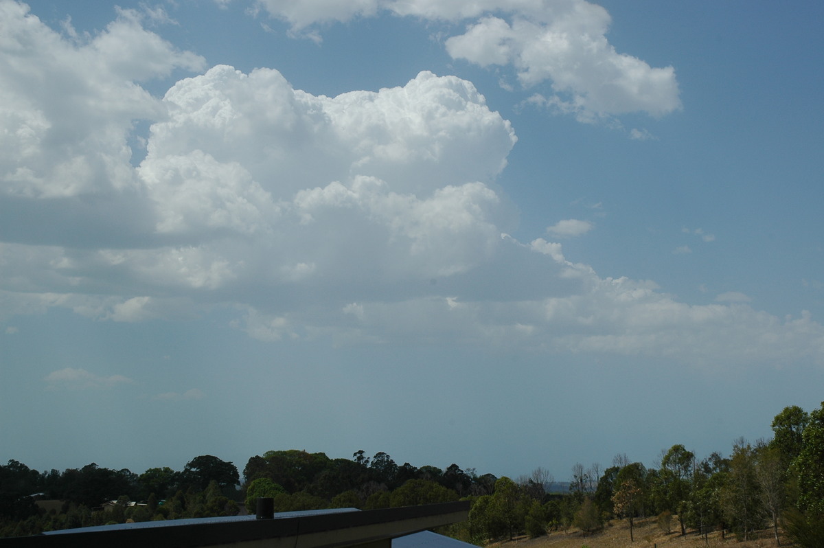 cumulus congestus : McLeans Ridges, NSW   8 October 2004