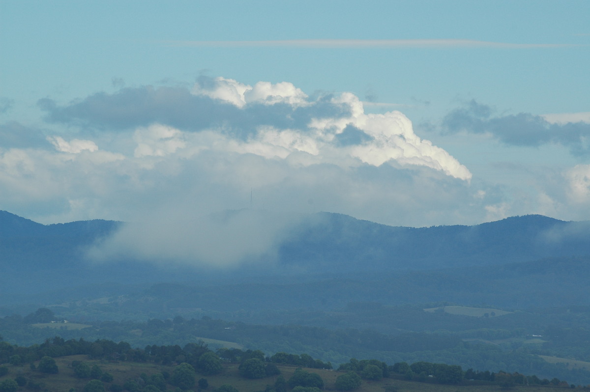 cumulus congestus : McLeans Ridges, NSW   21 October 2004