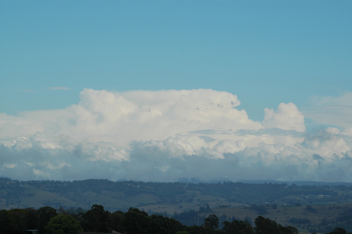 stratus stratus_cloud : McLeans Ridges, NSW   21 October 2004