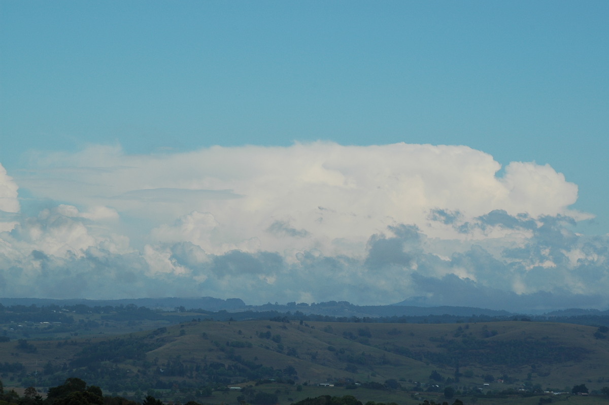 stratus stratus_cloud : McLeans Ridges, NSW   21 October 2004