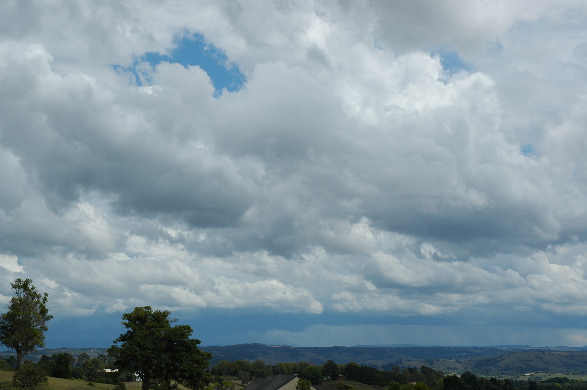 cumulus mediocris : McLeans Ridges, NSW   21 October 2004