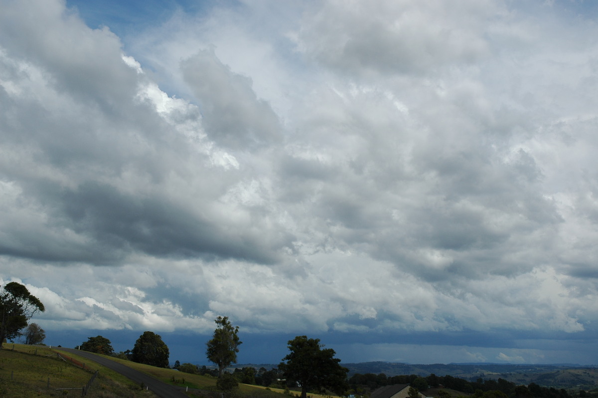 cumulonimbus thunderstorm_base : McLeans Ridges, NSW   21 October 2004