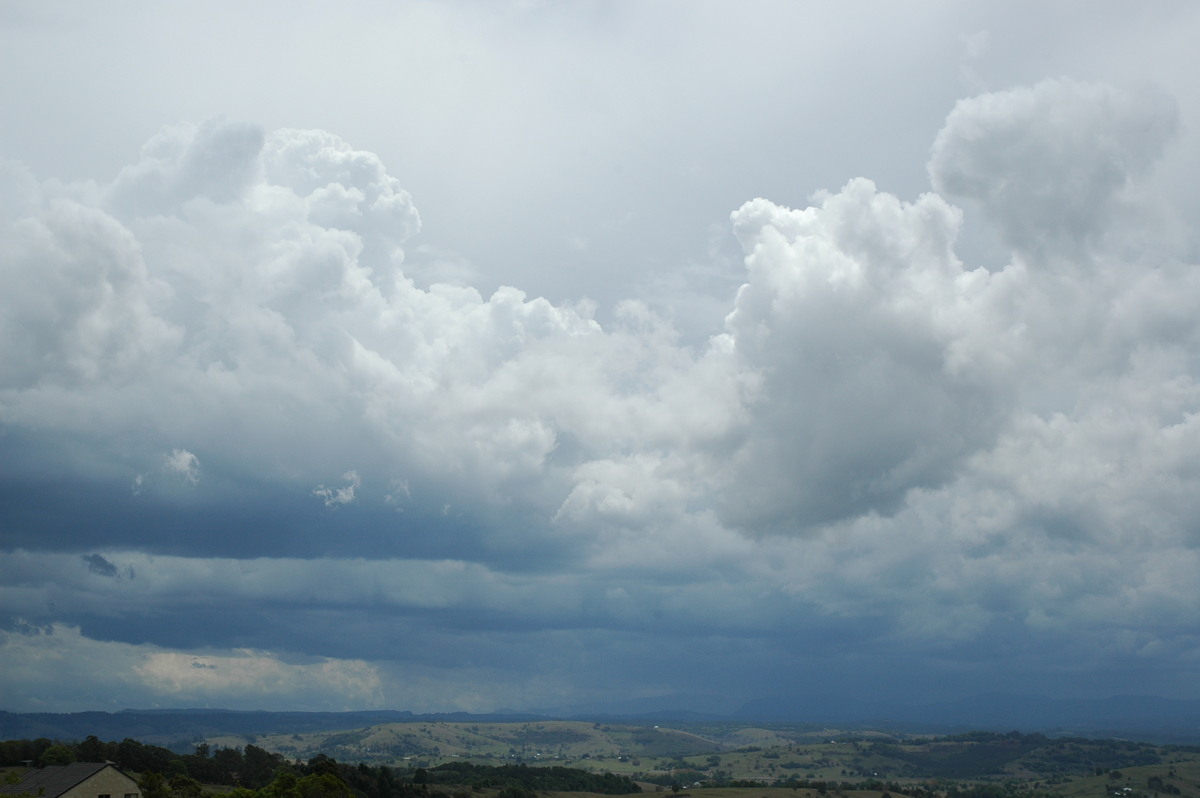 cumulus congestus : McLeans Ridges, NSW   21 October 2004