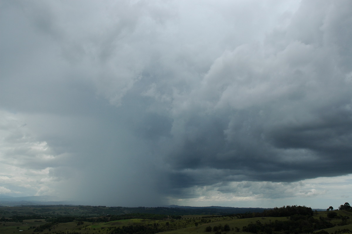 cumulonimbus thunderstorm_base : McLeans Ridges, NSW   21 October 2004