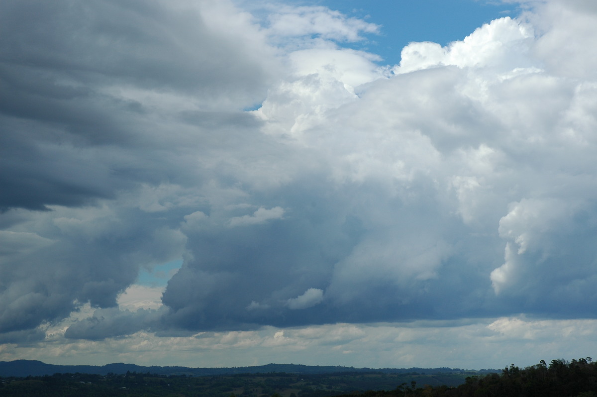 cumulus congestus : McLeans Ridges, NSW   21 October 2004