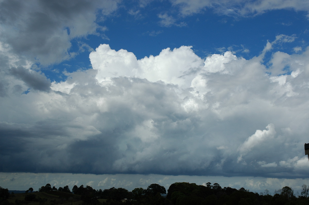 cumulus congestus : McLeans Ridges, NSW   21 October 2004