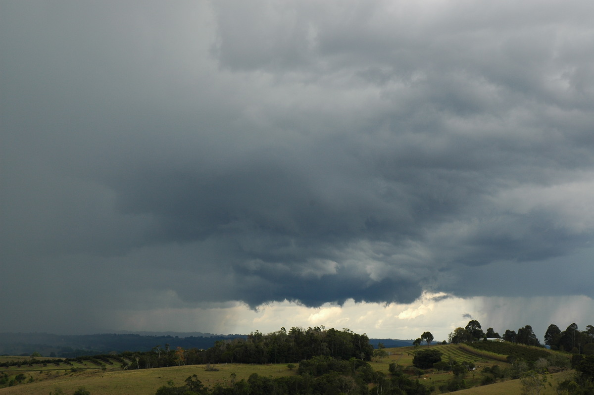 raincascade precipitation_cascade : McLeans Ridges, NSW   21 October 2004