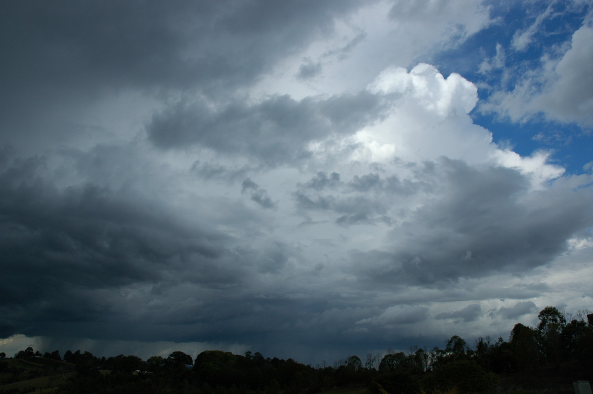 thunderstorm cumulonimbus_incus : McLeans Ridges, NSW   21 October 2004