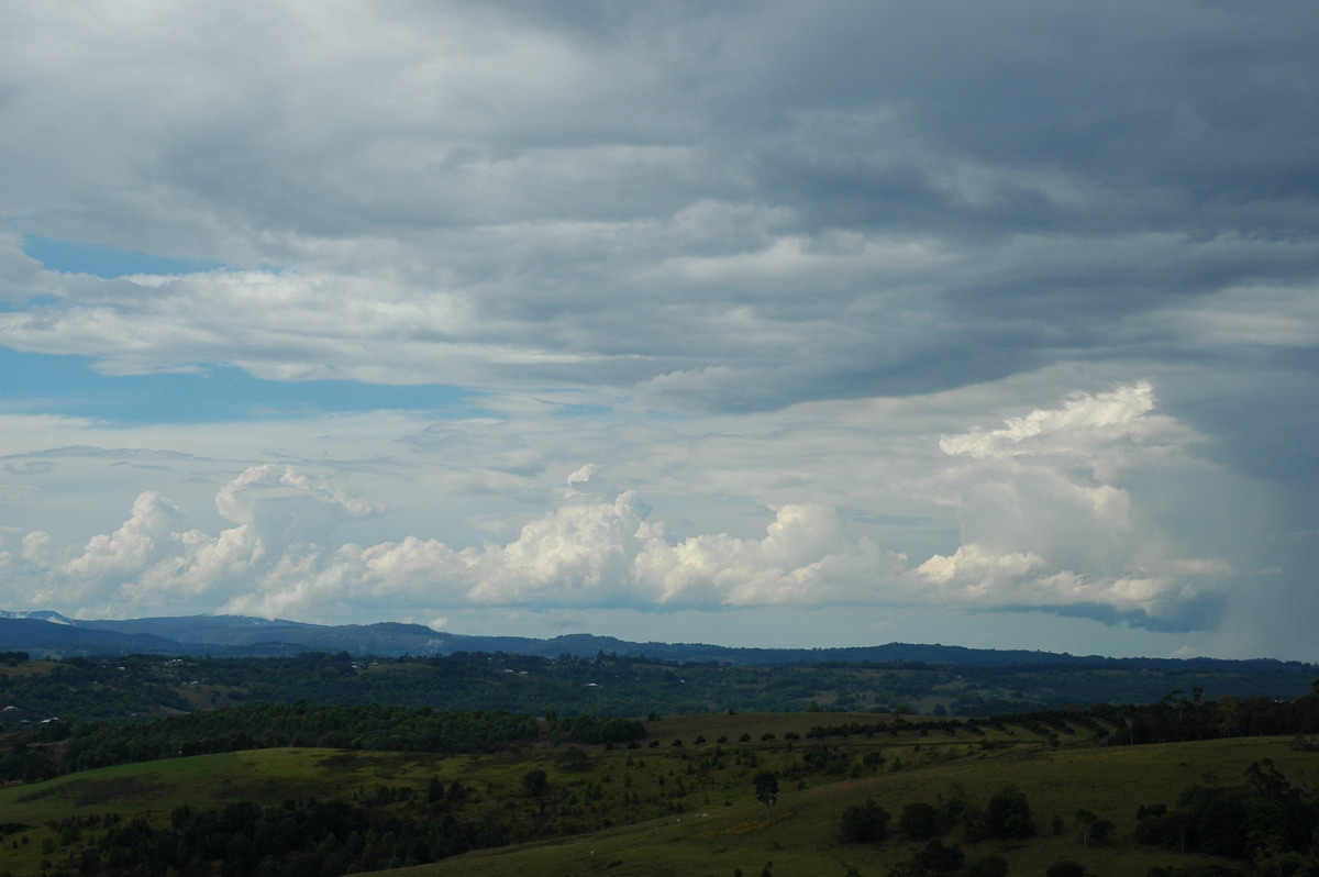 cumulus congestus : McLeans Ridges, NSW   21 October 2004