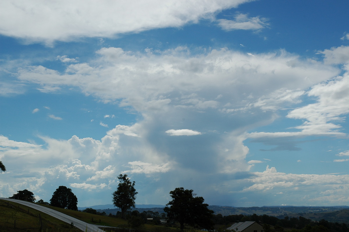 anvil thunderstorm_anvils : McLeans Ridges, NSW   21 October 2004