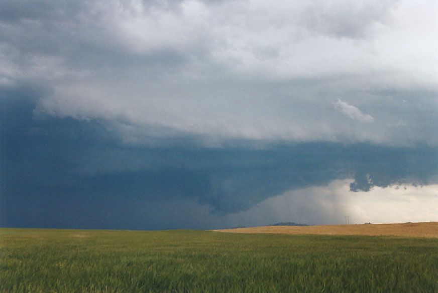 cumulonimbus supercell_thunderstorm : Gulgong, NSW   24 October 2004