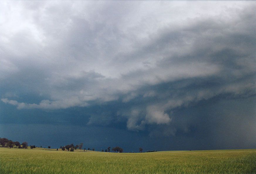 cumulonimbus supercell_thunderstorm : Gulgong, NSW   24 October 2004