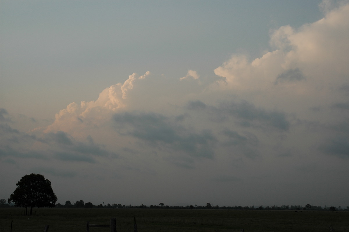 cumulus congestus : Casino, NSW   24 October 2004