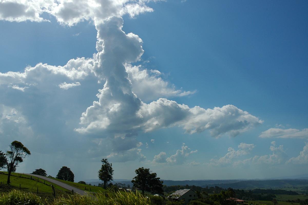 cumulus congestus : McLeans Ridges, NSW   4 November 2004