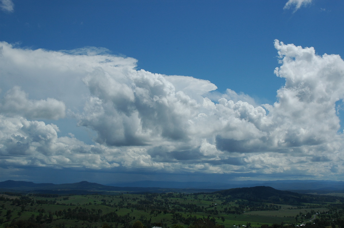 thunderstorm cumulonimbus_incus : Mallanganee NSW   9 November 2004