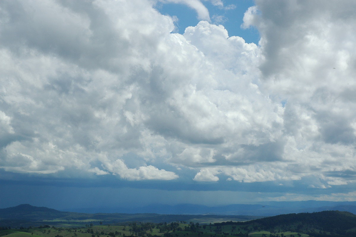 thunderstorm cumulonimbus_calvus : Mallanganee NSW   9 November 2004