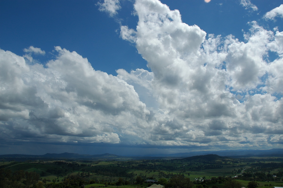 cumulus congestus : Mallanganee NSW   9 November 2004