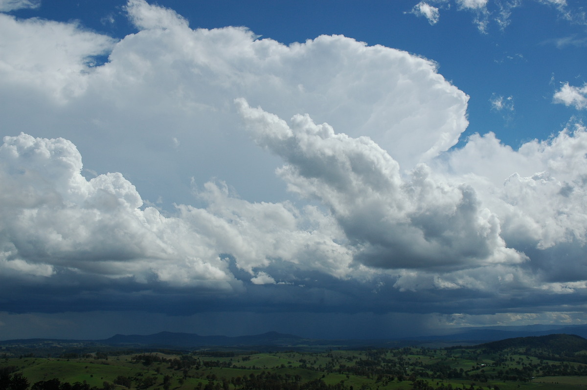 thunderstorm cumulonimbus_incus : Mallanganee NSW   9 November 2004