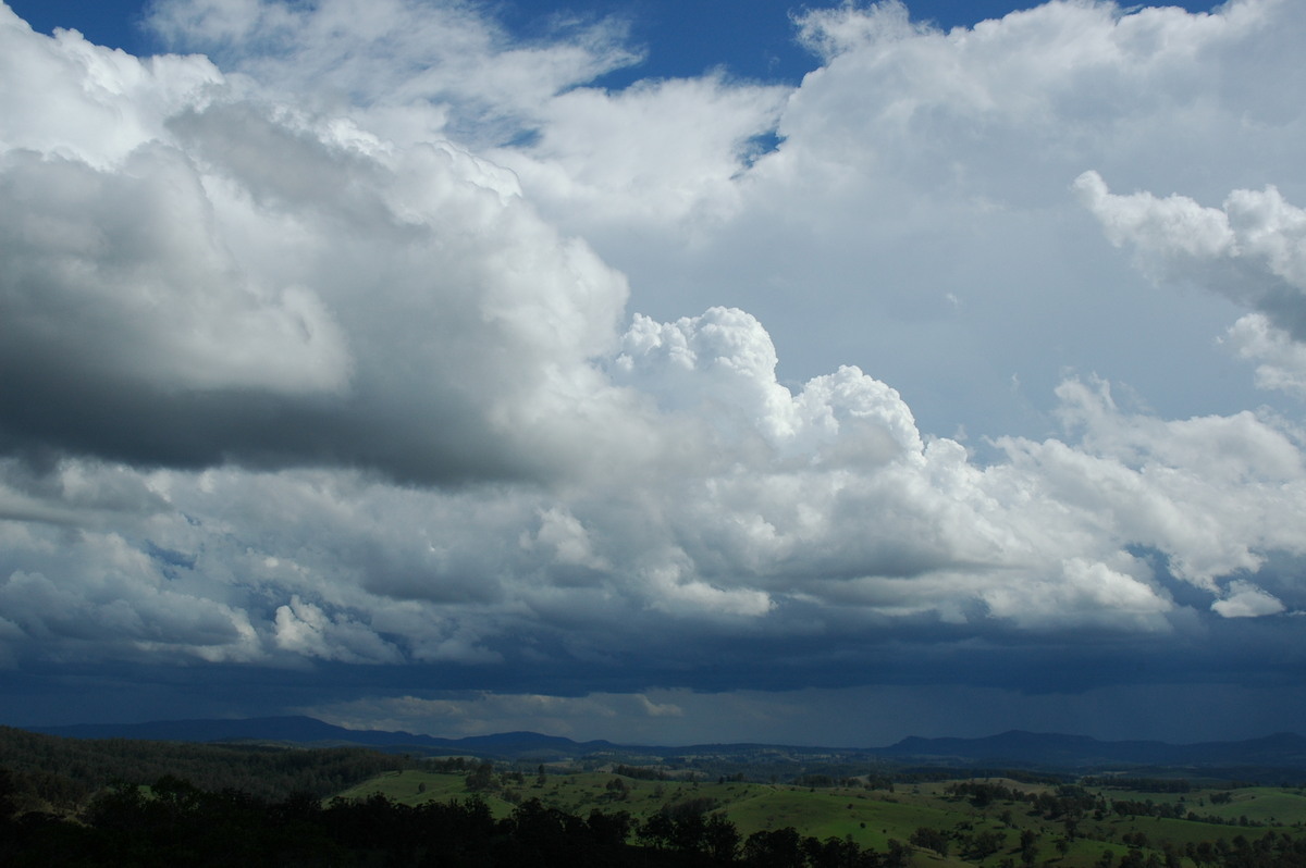 thunderstorm cumulonimbus_incus : Mallanganee NSW   9 November 2004