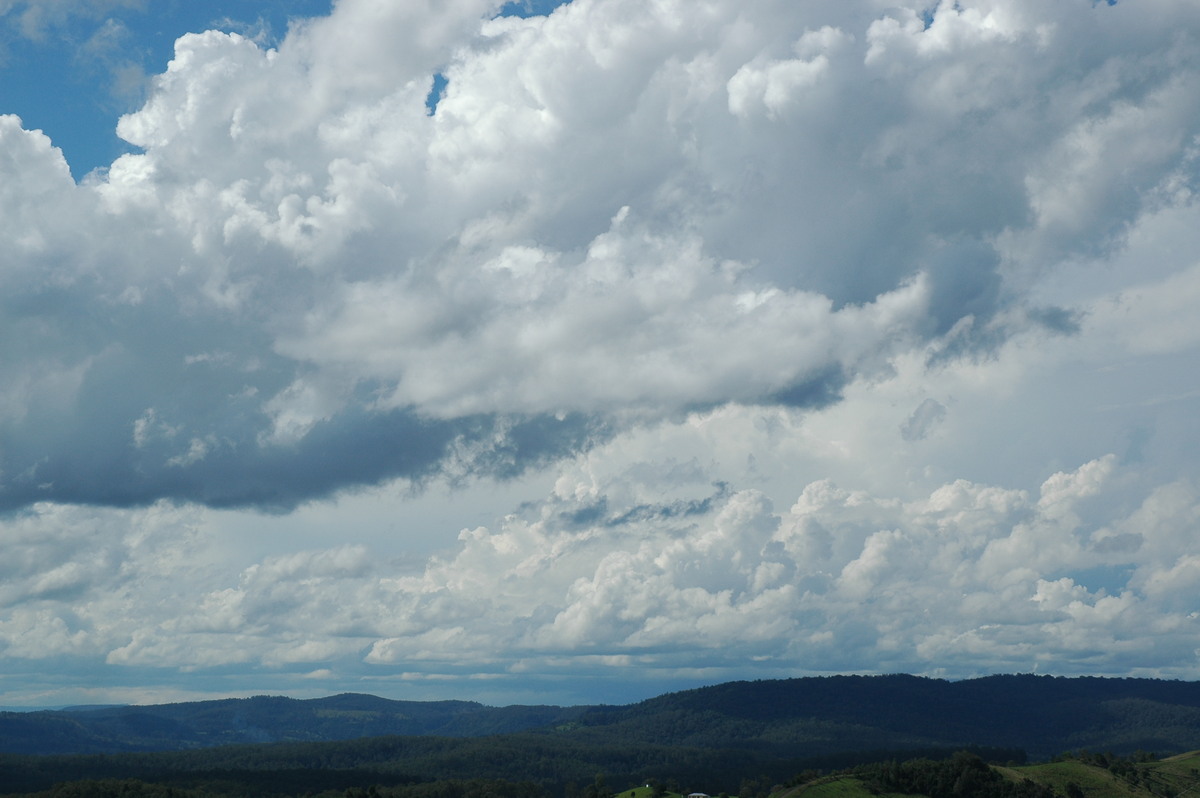 cumulus congestus : Mallanganee NSW   9 November 2004