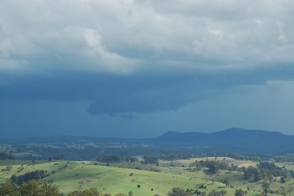 wallcloud thunderstorm_wall_cloud : Mallanganee NSW   9 November 2004