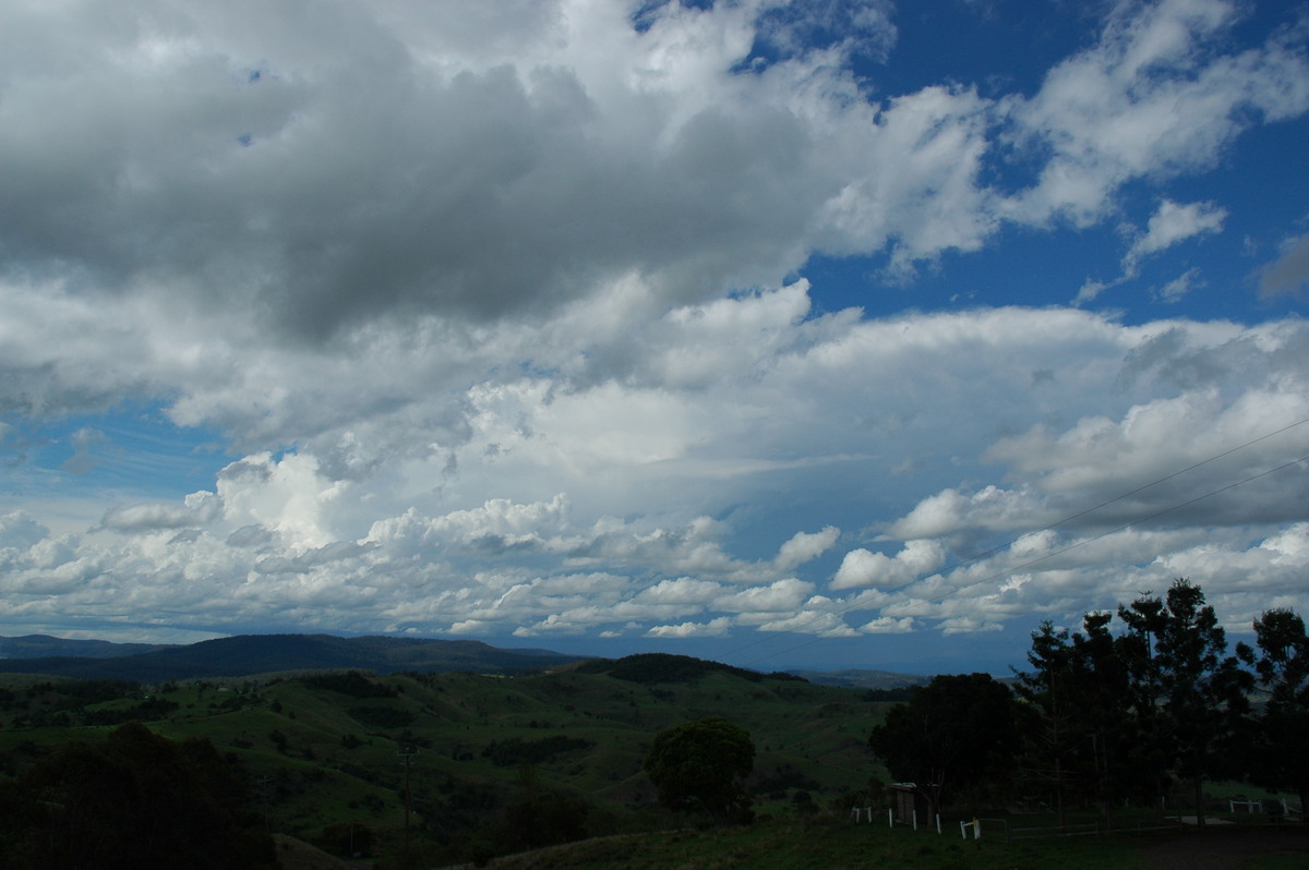 thunderstorm cumulonimbus_incus : Mallanganee NSW   9 November 2004