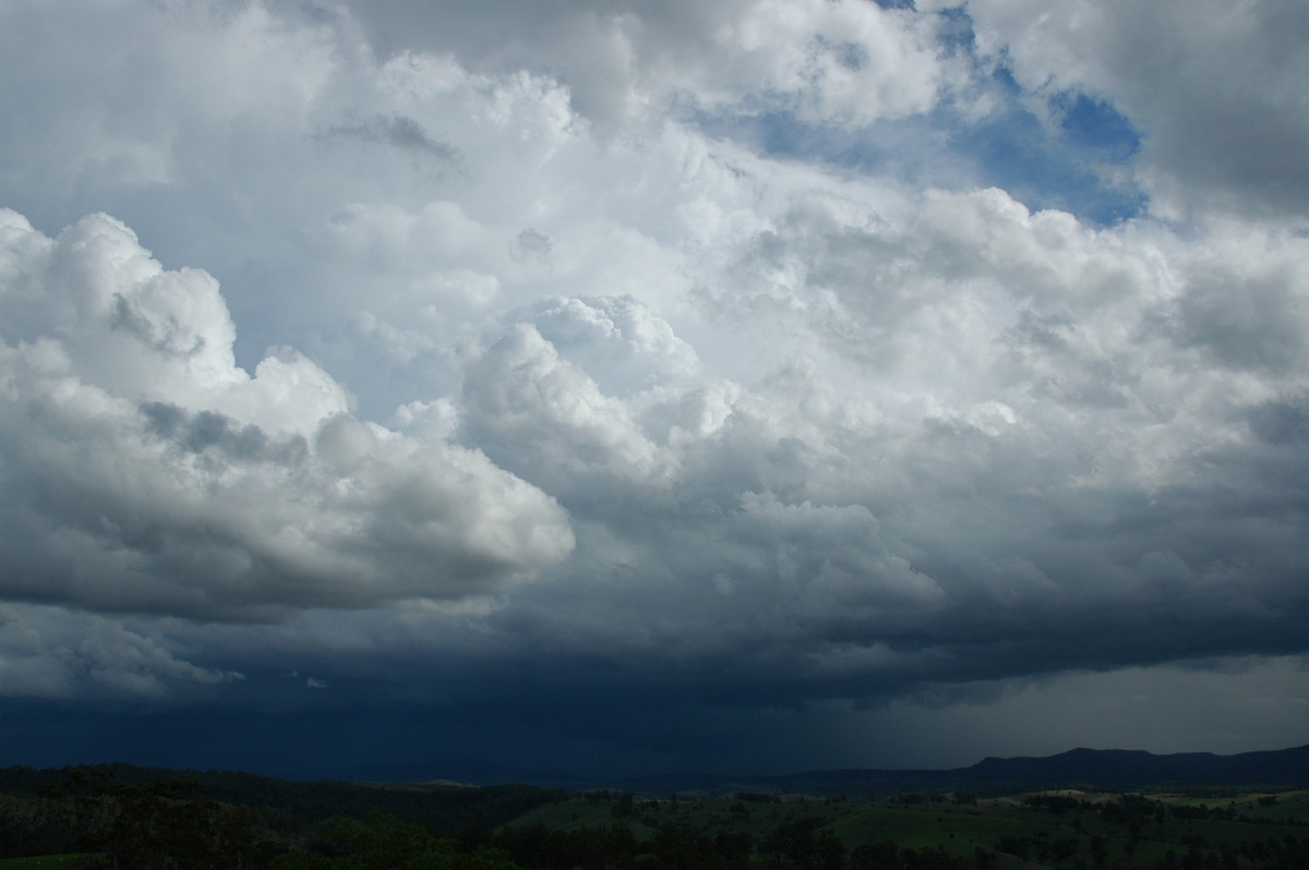 updraft thunderstorm_updrafts : Mallanganee NSW   9 November 2004