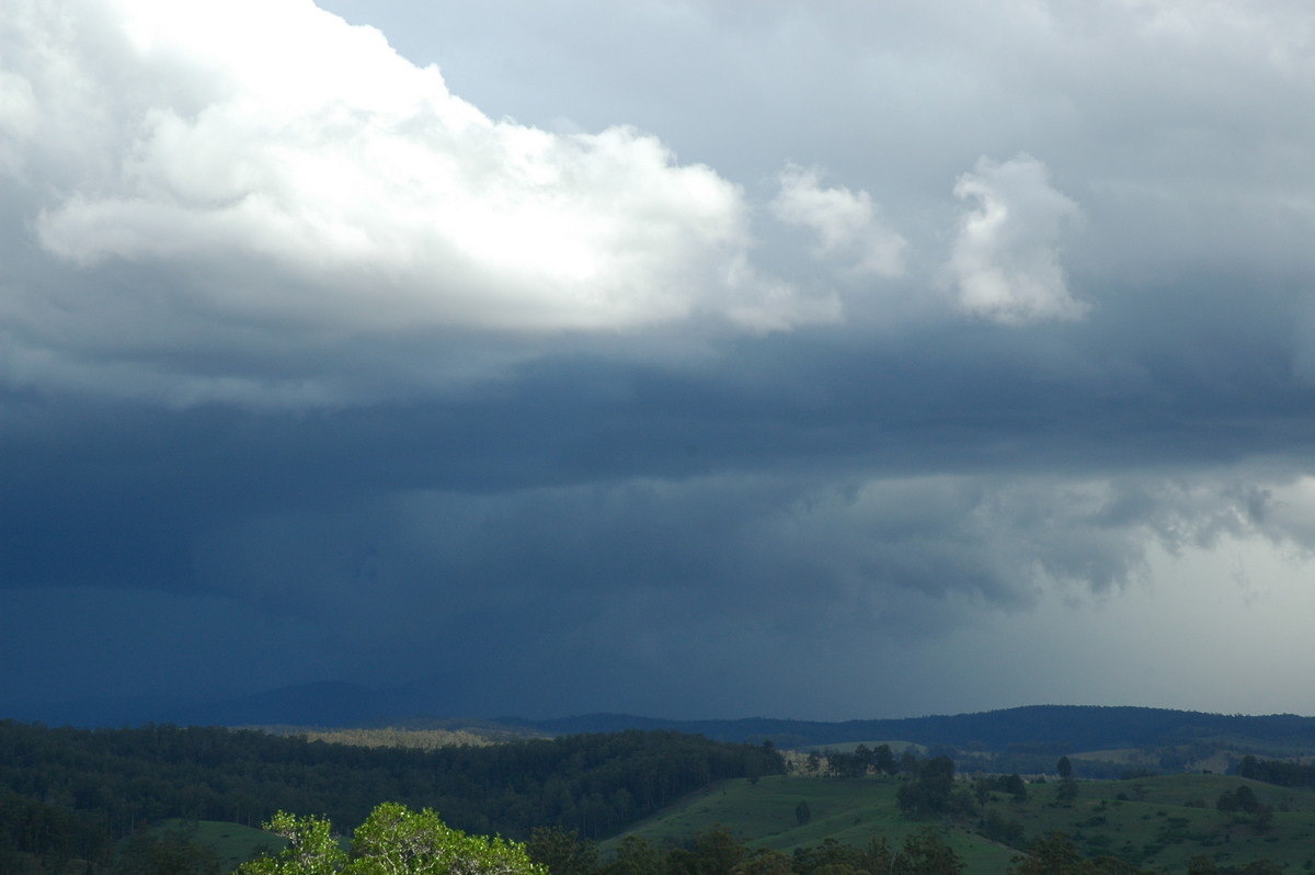 wallcloud thunderstorm_wall_cloud : Mallanganee NSW   9 November 2004