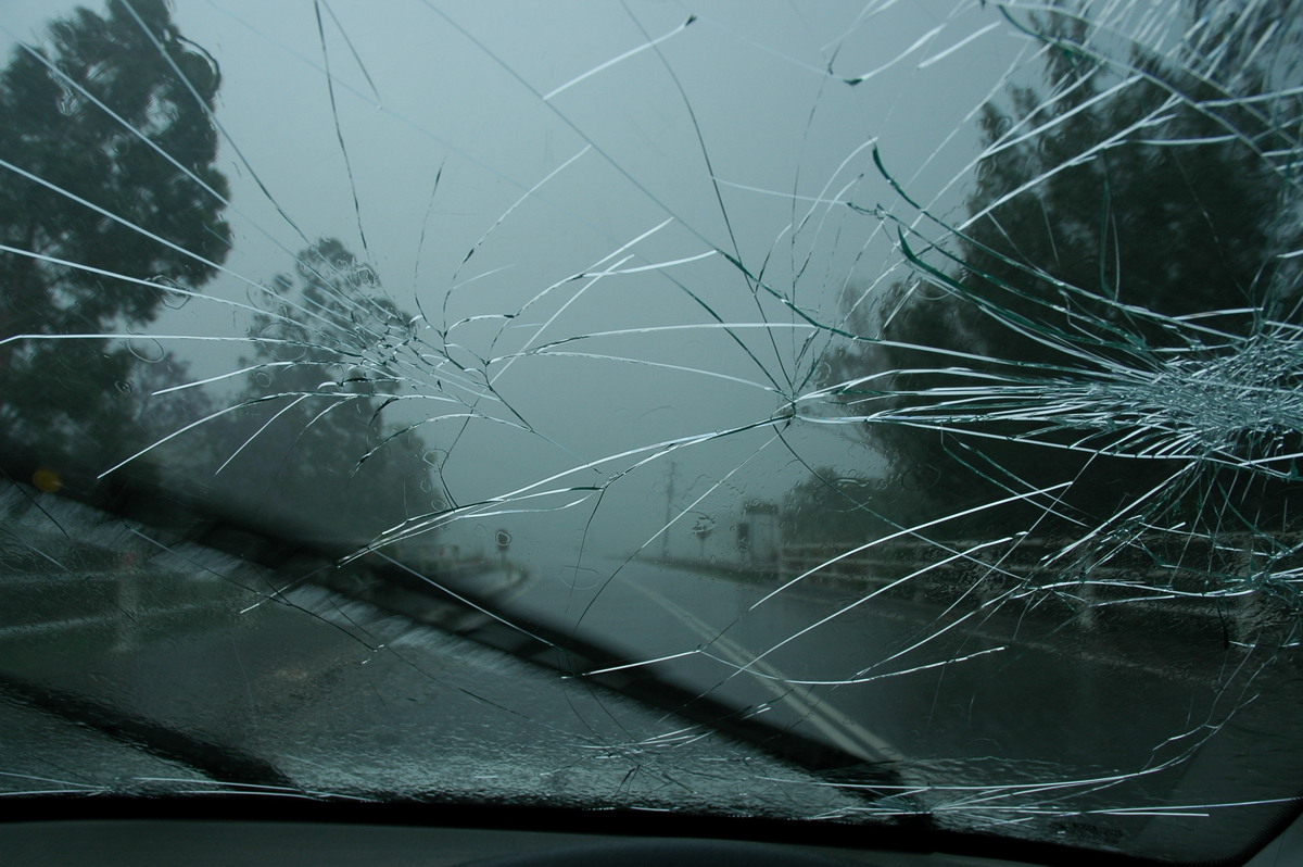 hailstones hail_stones : Leeville, NSW   9 November 2004