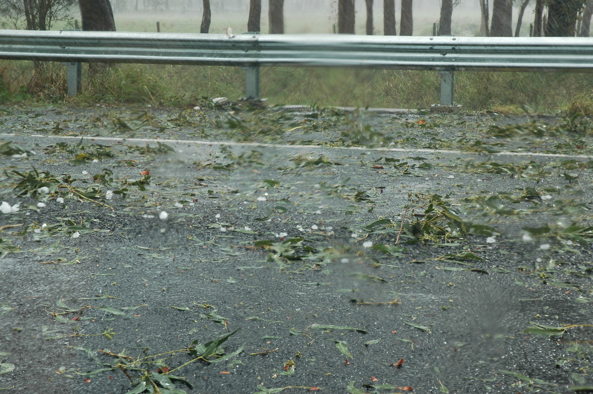 hailstones hail_stones : Leeville, NSW   9 November 2004