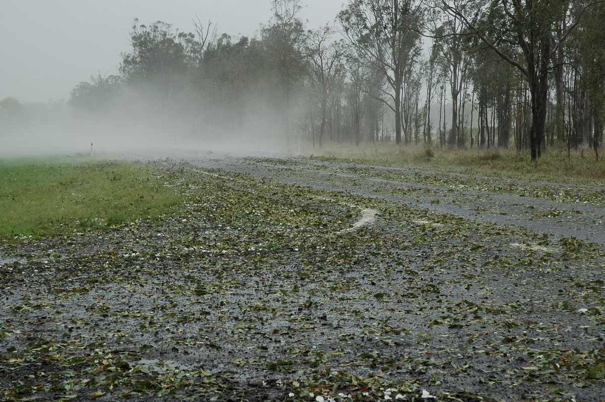 disasters storm_damage : Leeville, NSW   9 November 2004