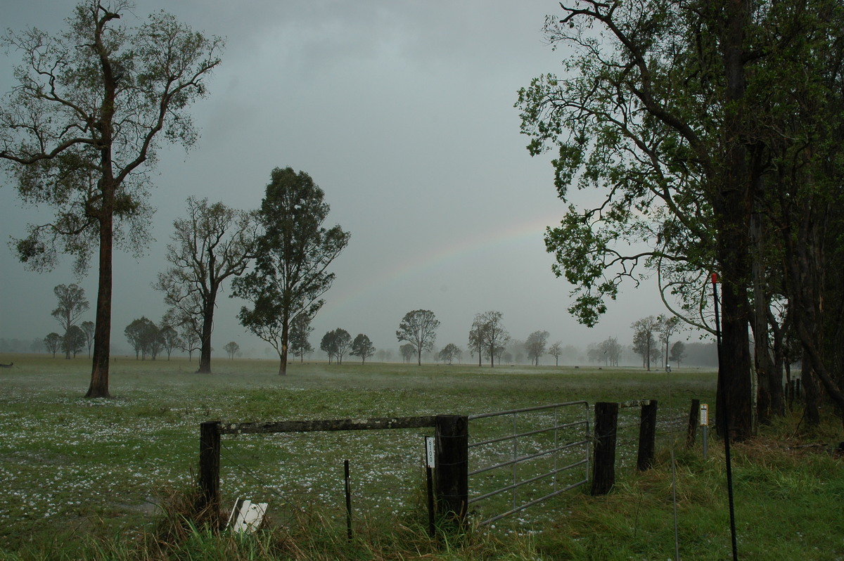 hailstones hail_stones : Leeville, NSW   9 November 2004