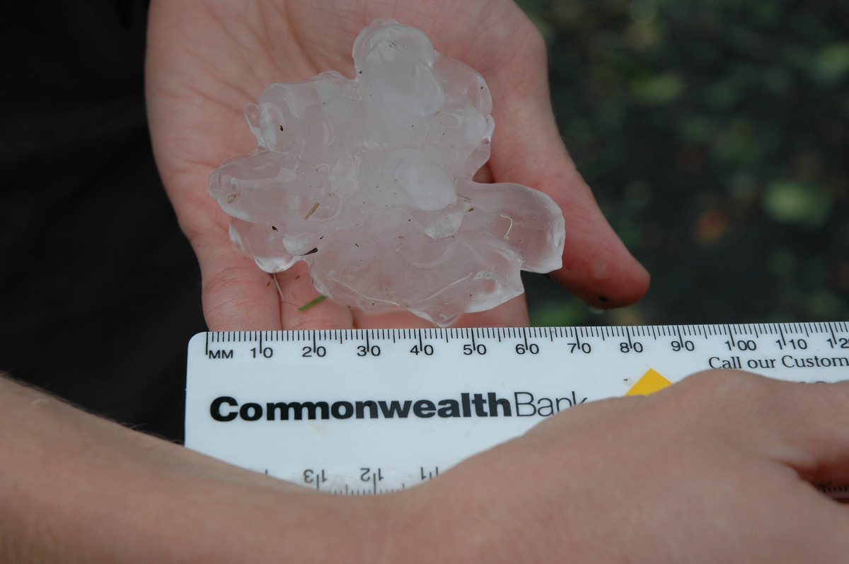 hailstones hail_stones : Leeville, NSW   9 November 2004