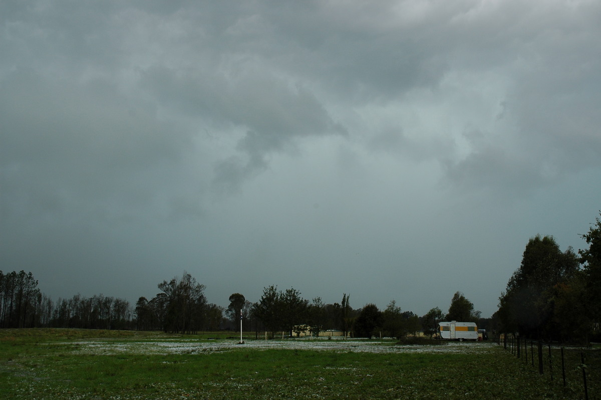 hailstones hail_stones : Leeville, NSW   9 November 2004