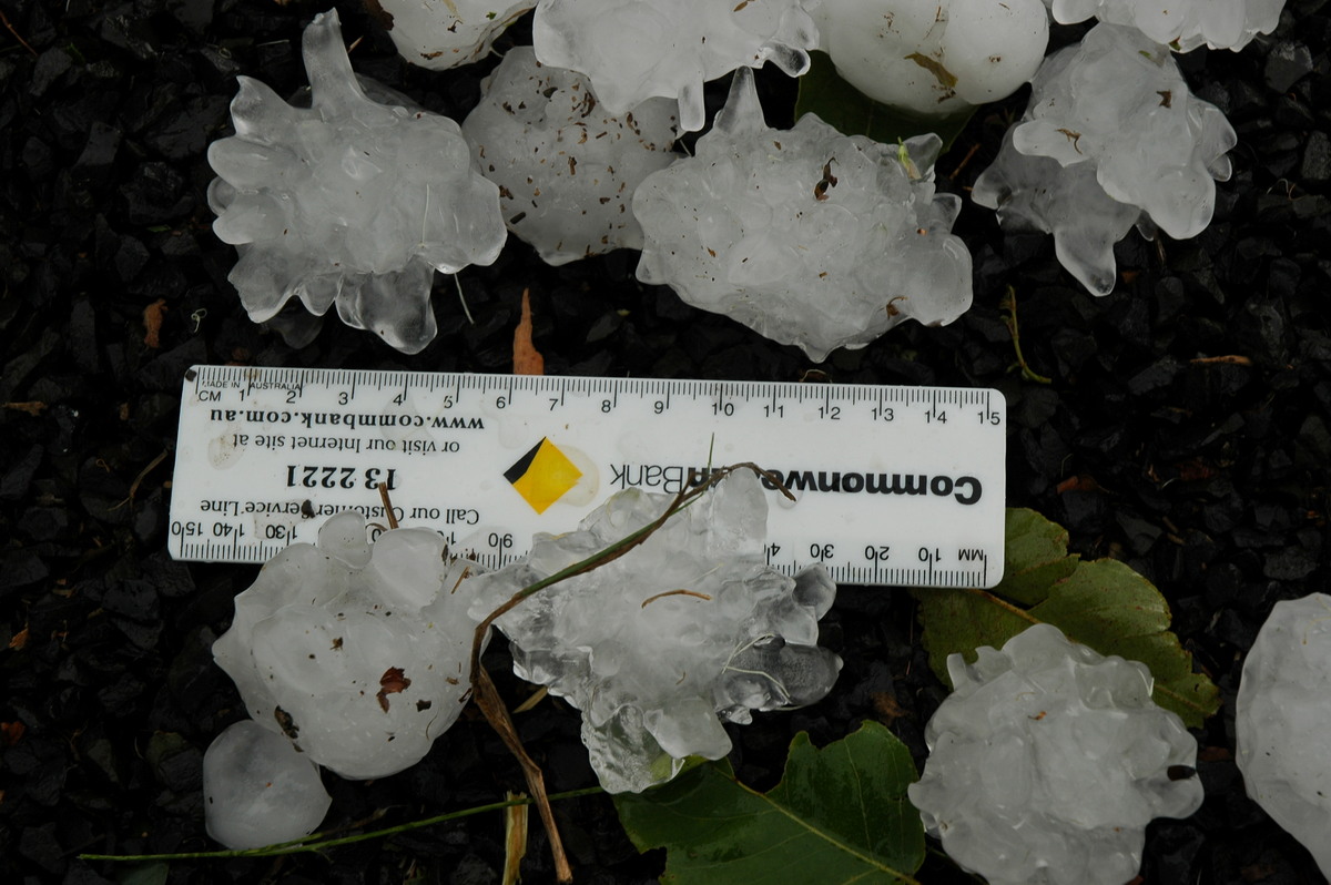 hailstones hail_stones : Leeville, NSW   9 November 2004