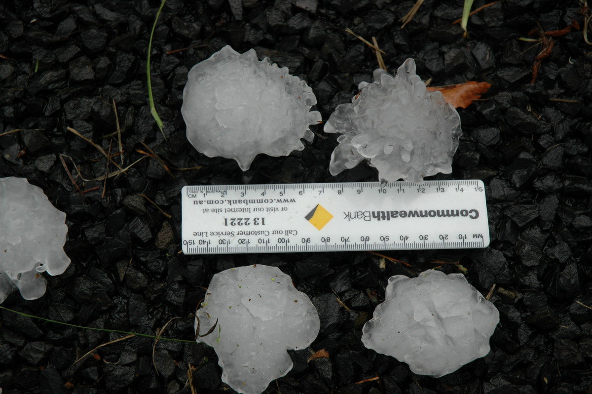 hailstones hail_stones : Leeville, NSW   9 November 2004