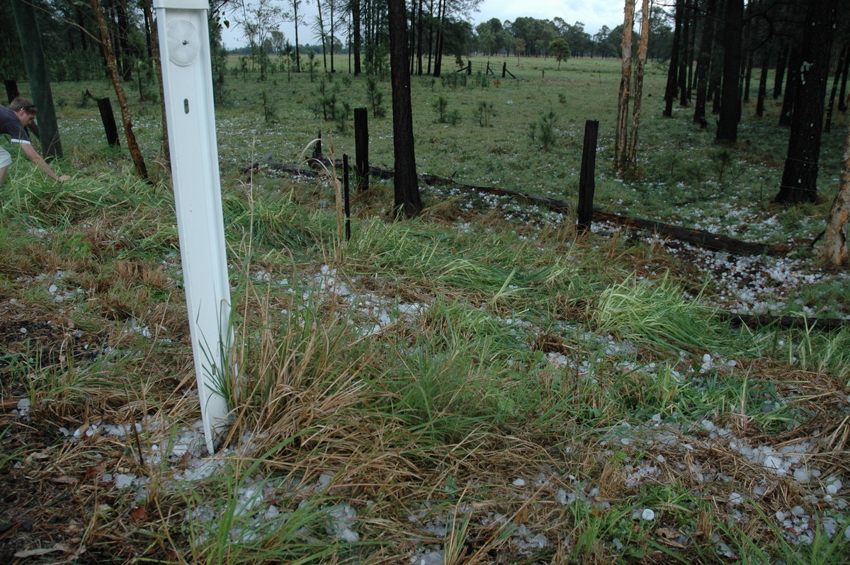 hailstones hail_stones : Leeville, NSW   9 November 2004