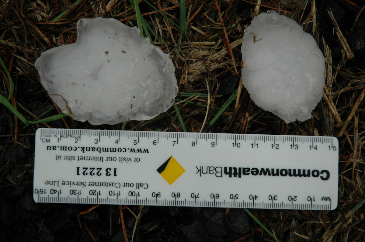 hailstones hail_stones : Leeville, NSW   9 November 2004