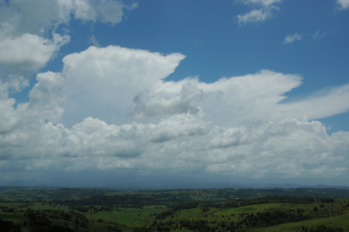 cumulus mediocris : McLeans Ridges, NSW   17 November 2004