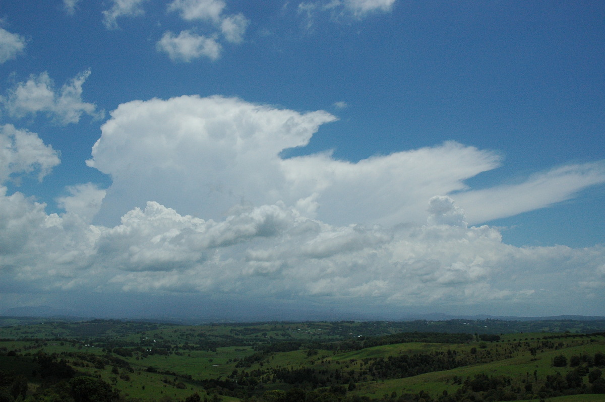 thunderstorm cumulonimbus_incus : McLeans Ridges, NSW   17 November 2004